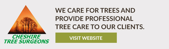 Cheshire Tree Surgeons